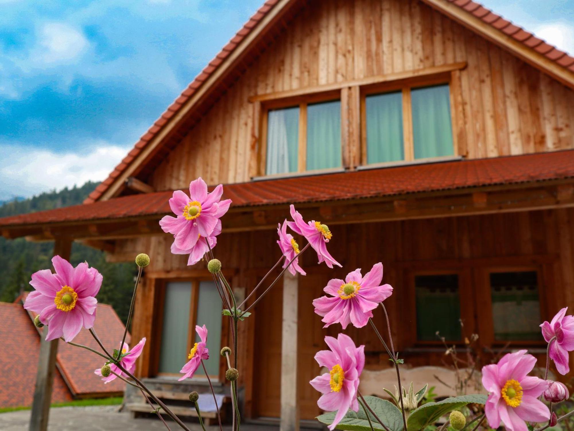 Dolomiti Village 코메글리안스 외부 사진